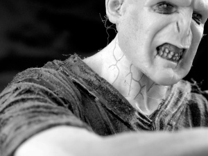 Waldemar Krysiak: Czy Lord Voldemort jest trans?